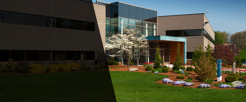 Willoughby Landscapers