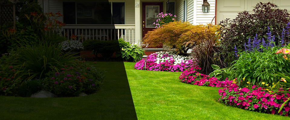 Willoughby Landscapers