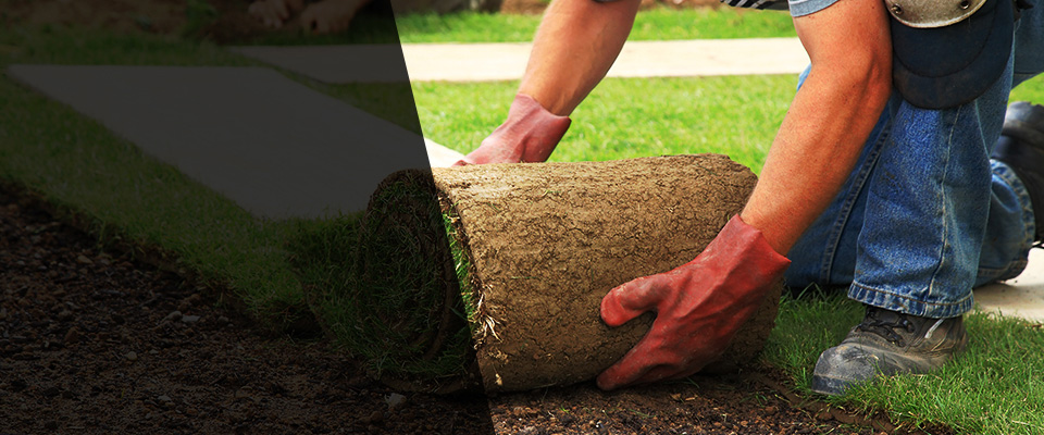 Willoughby Landscapers